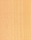 Holzart Birne
