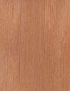 Holzart Erle