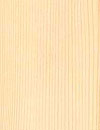 Holzart Fichte
