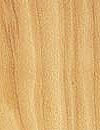 Holzart L&auml;rche